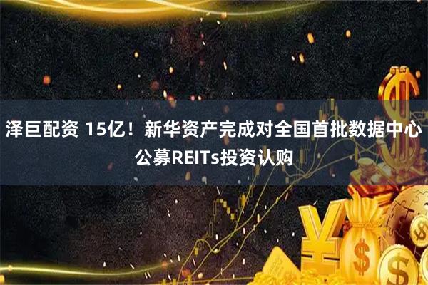 泽巨配资 15亿!新华资产完成对全国首批数据中心公募REITs投资认购