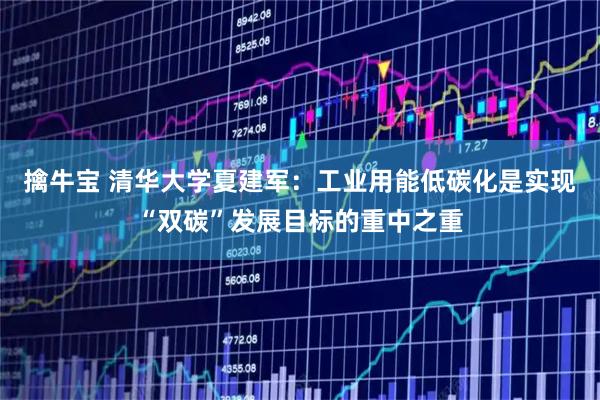 擒牛宝 清华大学夏建军：工业用能低碳化是实现“双碳”发展目标的重中之重