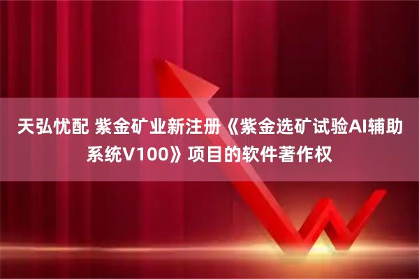 天弘忧配 紫金矿业新注册《紫金选矿试验AI辅助系统V100》项目的软件著作权