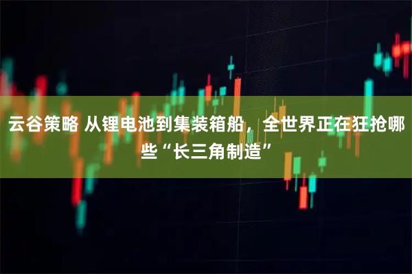 云谷策略 从锂电池到集装箱船，全世界正在狂抢哪些“长三角制造”