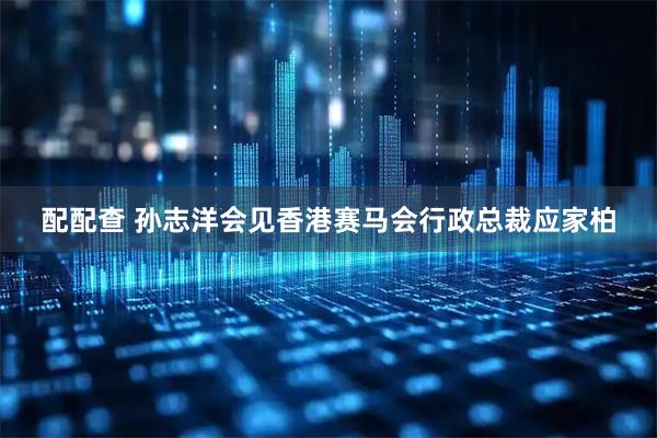配配查 孙志洋会见香港赛马会行政总裁应家柏